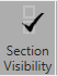 Section Visibilty icon 