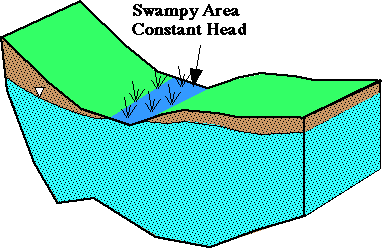 Swampy Area Constant Head Boundary Conditions Locations 3D Model View