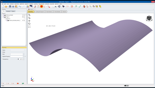 Triangulated Surface Model View