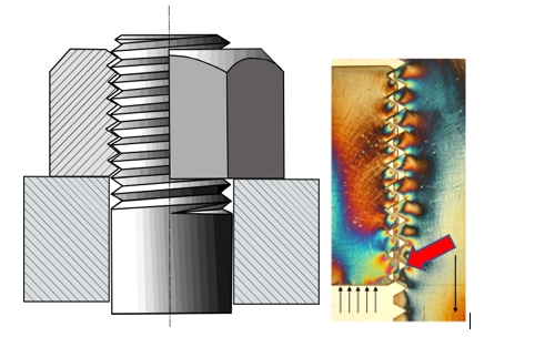 Section Bolt