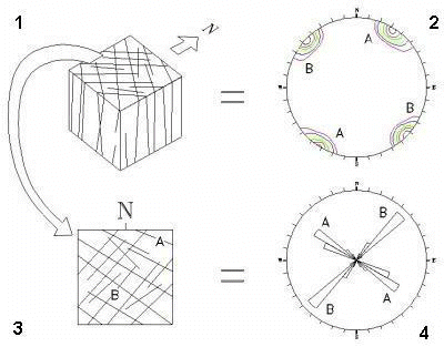 image\ros3.gif Rosette Plot