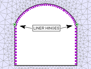 Liner with two Hinges (green circles with dot)